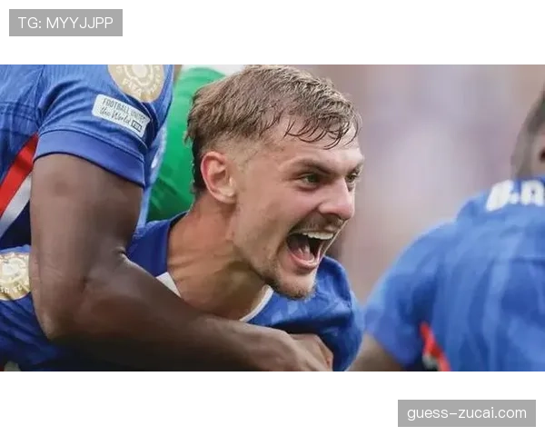 霍尔五球成埃弗顿队内射手王 切尔西旧将前场创造力获认可 霍尔五球成埃弗顿队内射手王 切尔西旧将前场创造力获认可